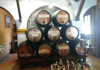 Bodega Museo Del Moscatel