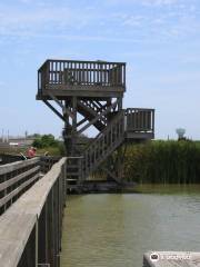 Leonabelle Turnbull Birding Center