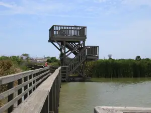 Leonabelle Turnbull Birding Center