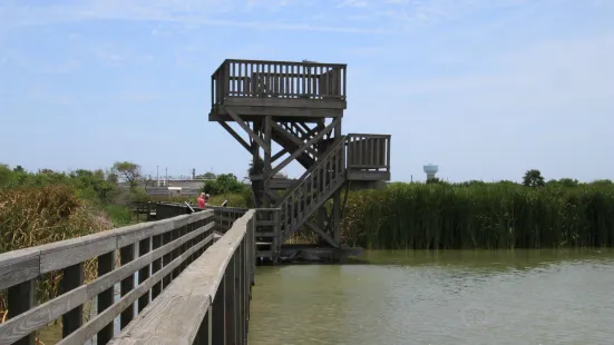 Leonabelle Turnbull Birding Center