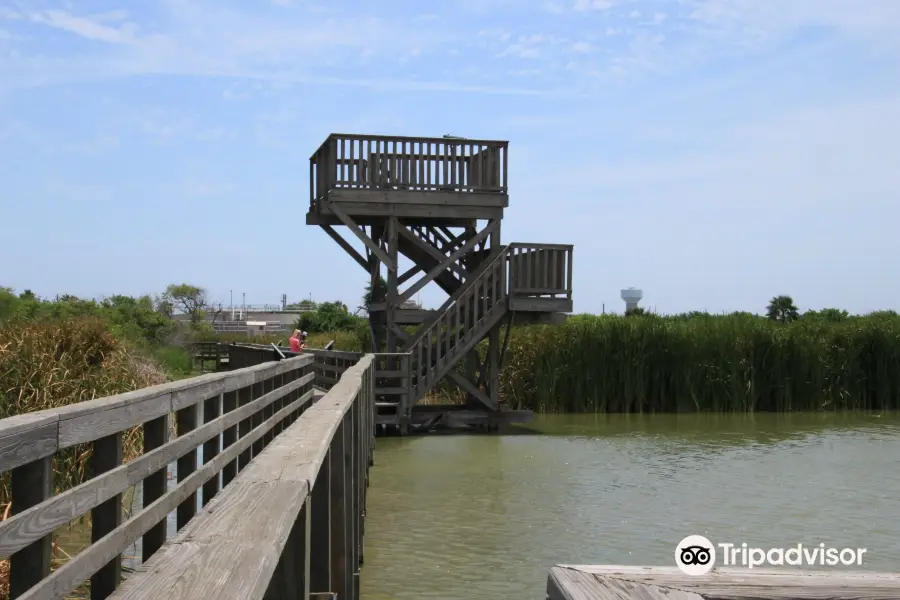 Leonabelle Turnbull Birding Center