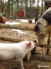 Winslow Farm Animal Sanctuary