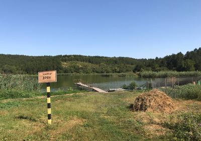 Dobritj