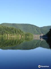 Wildlife Center at Sinnemahoning State Park