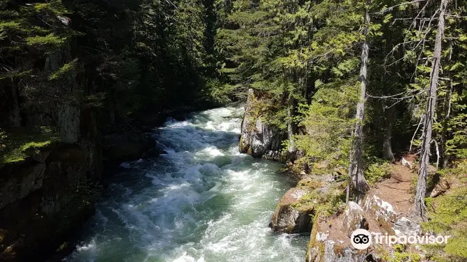 2_The Whistler Train Wreck Trail