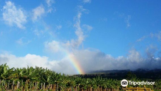 Maui Nui Farms Farmers Market