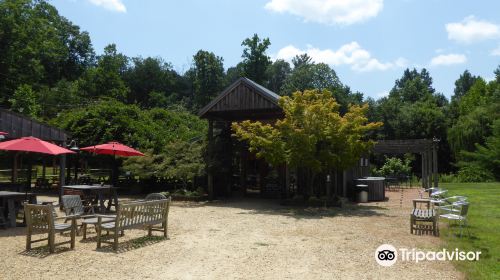 Chisholm Vineyards at Adventure Farm