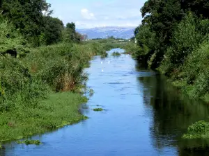 Oasi WWF Policoro Herakleia