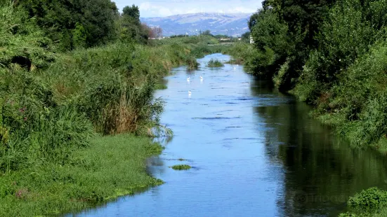 Oasi Wwf Bosco Pantano