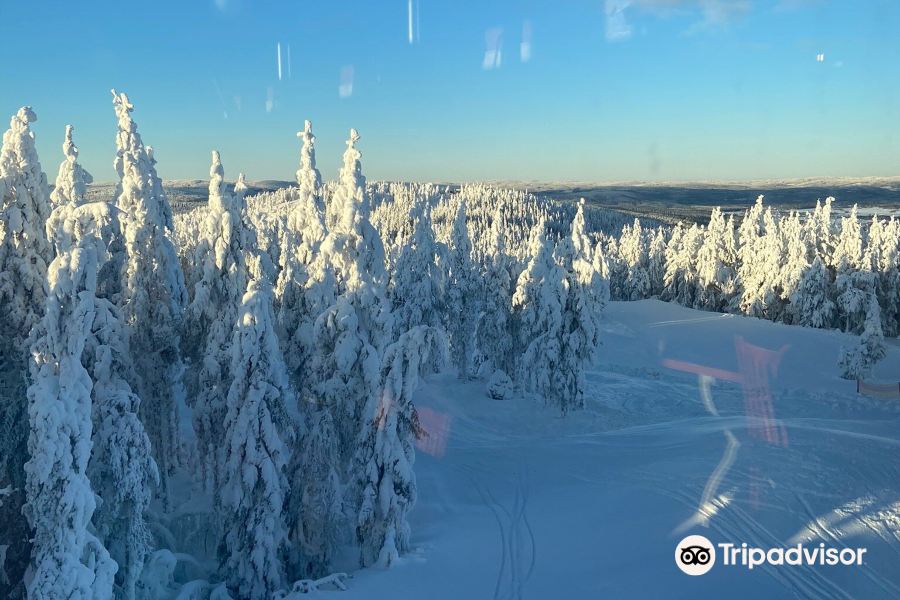Romme Alpin