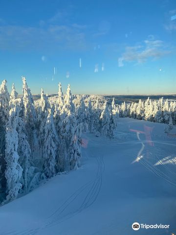 Romme Alpin