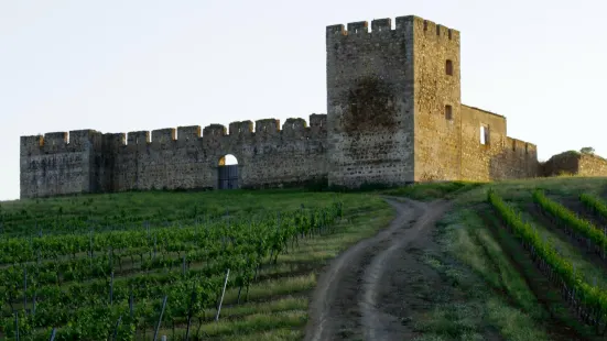 Castle of Valongo