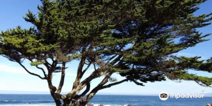 Monterey Bay Recreation Trail