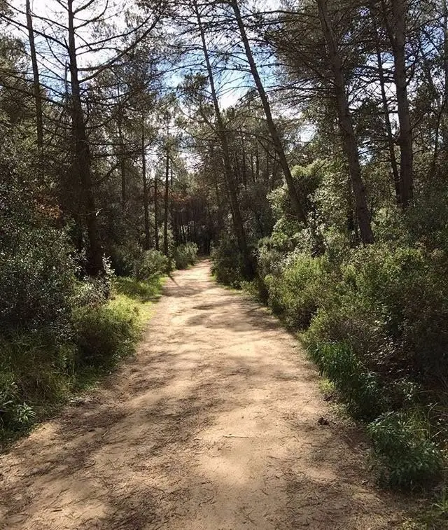 Vilanova del Valles