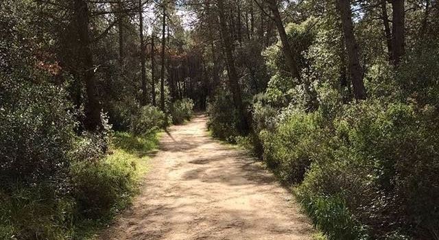 Vilanova del Valles