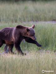 Karhu Kuusamo