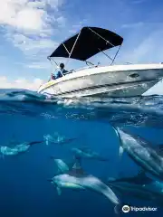 Hooker Fishing Mauritius