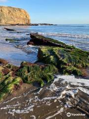 Abalone Cove Beach