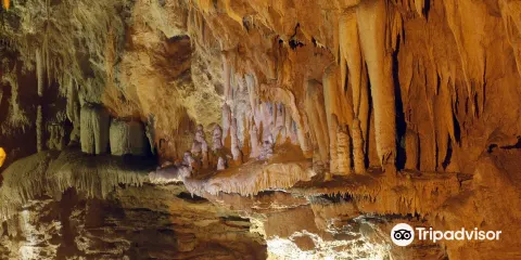 Jama Pod Babjim Zobom