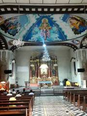 Immaculate Conception Parish Church - Balayan