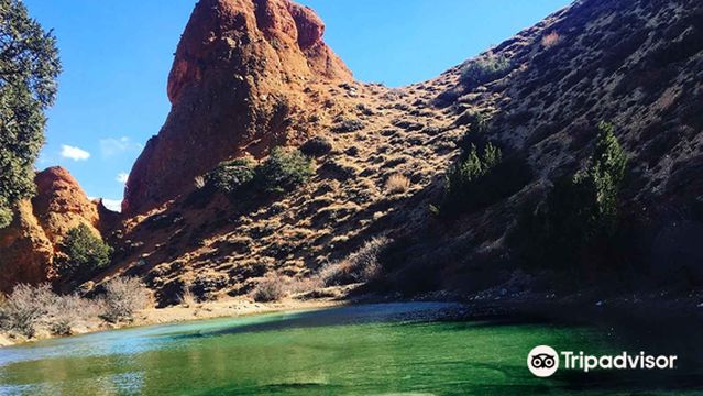 Himalayan Magic Treks