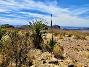 Sotol Vista Overlook