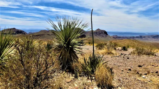 Sotol Vista Overlook