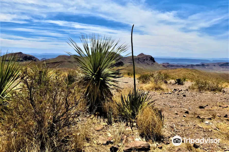 Sotol Vista Overlook