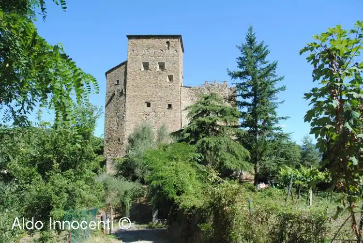 فنادق في Castel San Niccolo
