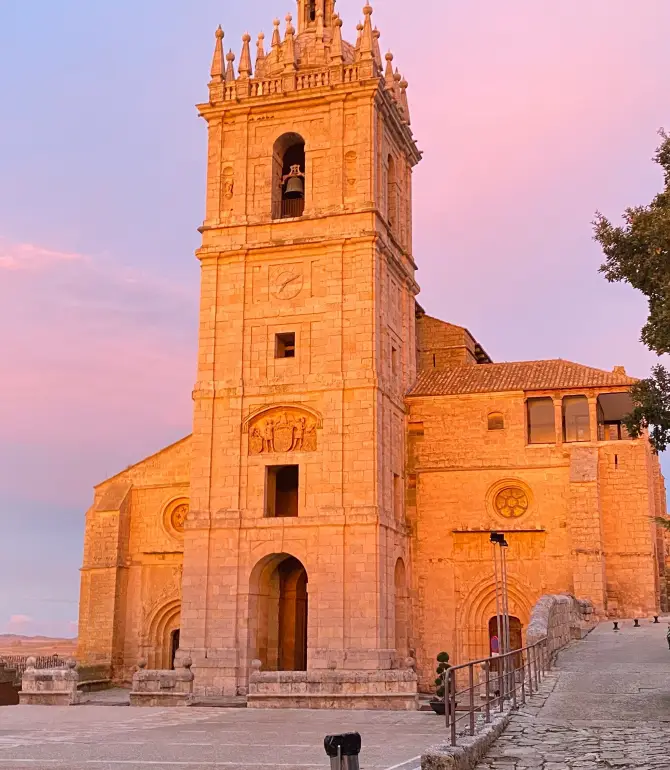Támara de Campos