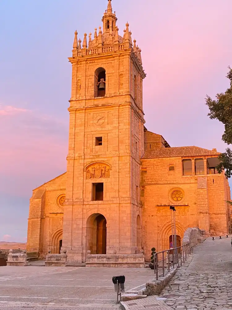 Támara de Campos