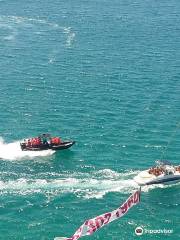 White Shark Parasailing