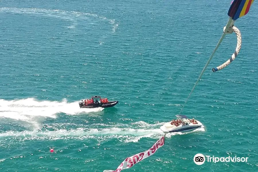 White Shark Parasailing