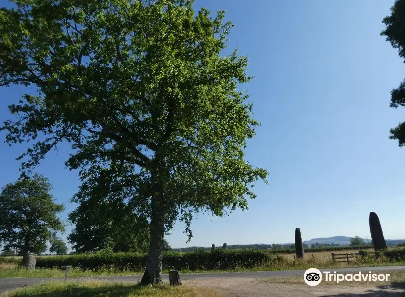 Menhirs dÉpoigny