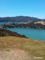 Rangikapiti Pa Historic Reserve