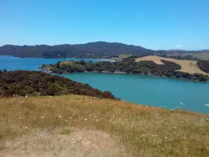 Rangikapiti Pa Historic Reserve