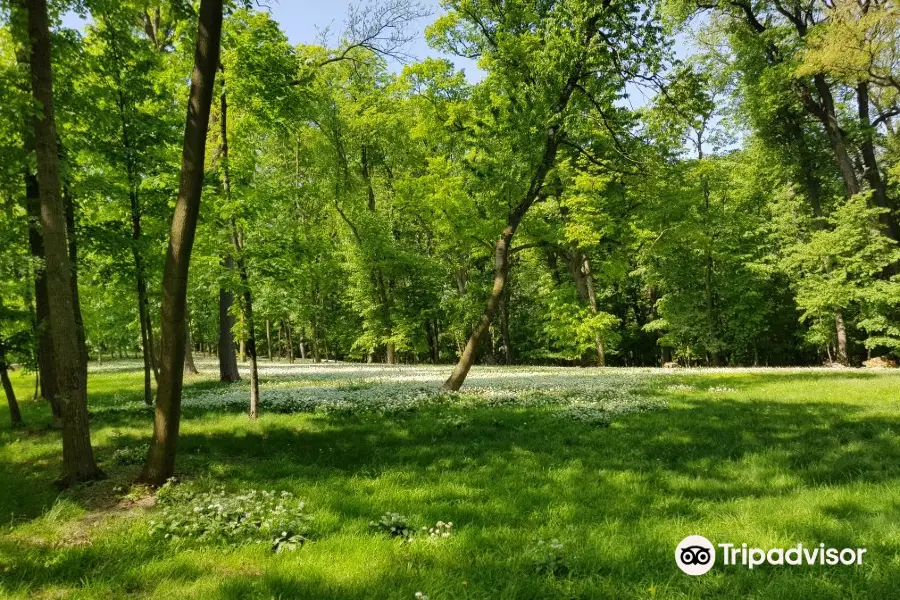 Potzleinsdorfer Schlosspark