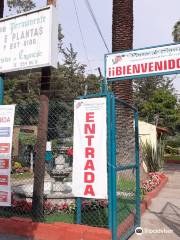 Vivero Coyoacán