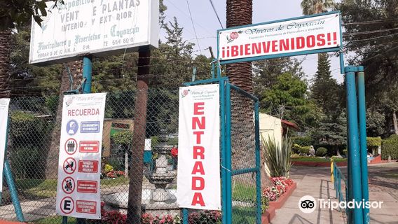 Vivero Coyoacan