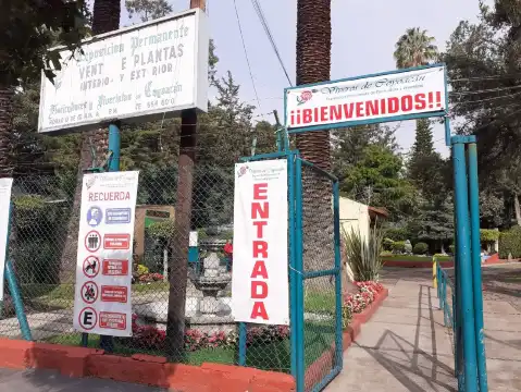 Hotels near Vivero Coyoacan