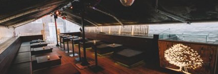 The Drunken Flamingo