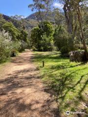 Grampians Flora Botanic Gardens