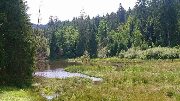 Hotels in Thurmansbang