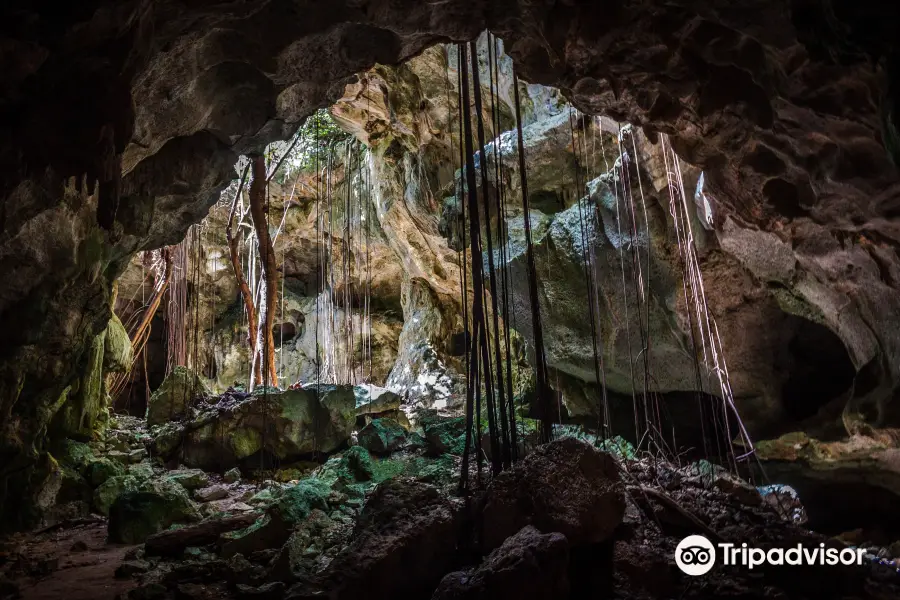 Cueva del Puente