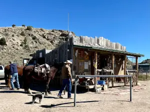 Broken Saddle Riding Company