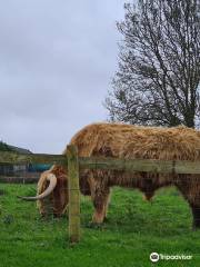 Clerkenhill Adventure Farm & Frizbee Golf Course