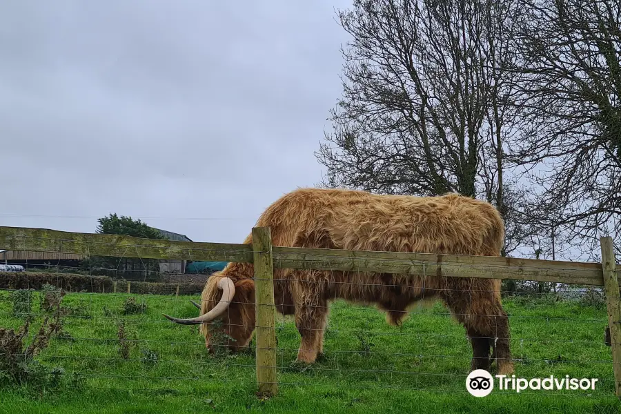 Clerkenhill Adventure Farm & Frizbee Golf Course