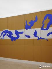 Museo Matisse