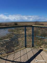 George C. Reifel Migratory Bird Sanctuary