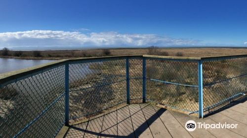 George C. Reifel Migratory Bird Sanctuary